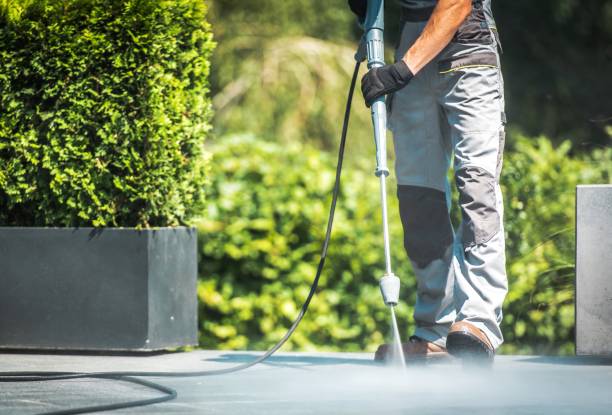 Boat and Dock Cleaning in North Springfield, VA